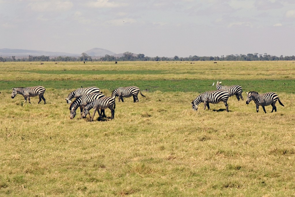 Kenia (158).jpg